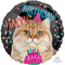 45CM HX HAPPY BIRTHDAY CAT